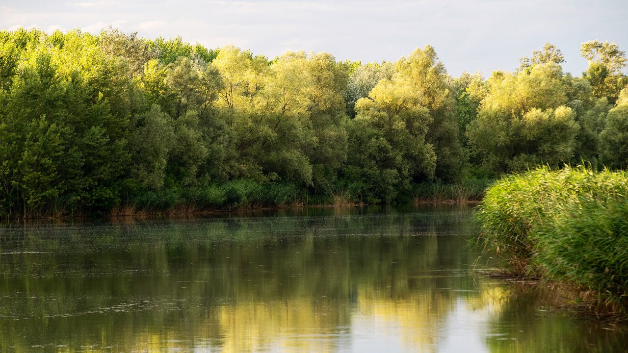 Connecting sewers to protect the wildlife of the Upper Tisza region