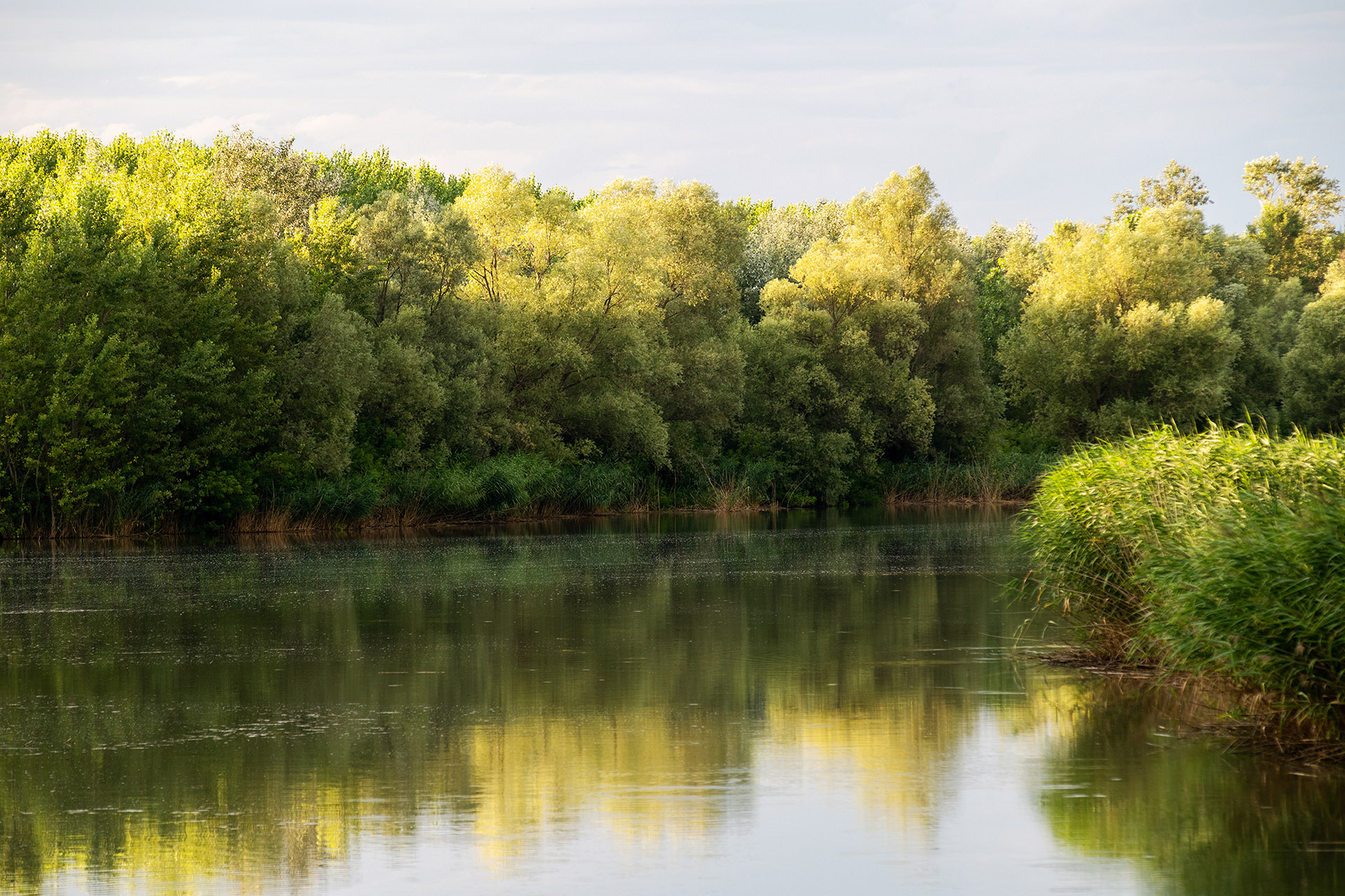Csatornabővítéssel védték meg a Felső-Tisza-vidék élővilágát